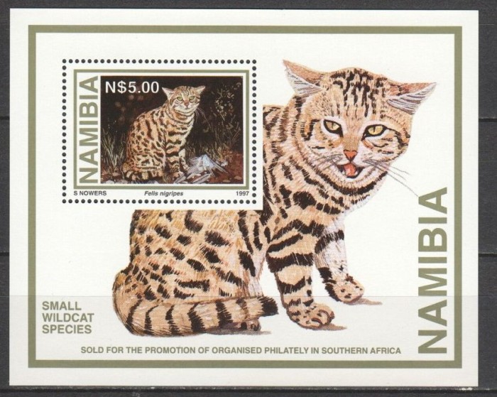 NAMIBIA 1997 FAUNA ANIMALE SALBATICE PISICI SALBATICE