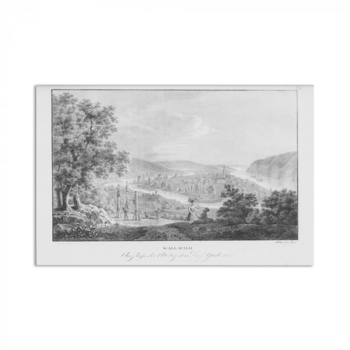 Vedere spre satul Grădinari (Caraş-Severin), litografie, 1826