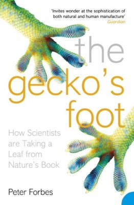 The Gecko S Foot foto