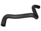 Furtun radiator FORD FOCUS C-MAX (2003 - 2007) THERMOTEC DWG012TT