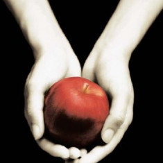 Saga Twilight - Fascination | Stephenie Meyer