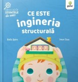Cumpara ieftin Ce este ingineria structurala/Ruth Spiro, Irene Chan