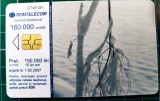Cartelă telefonică Romtelecom Peisaj hibernal 150.00 lei 15 lei noi 160.000 unități 874FUN exp. 01.02.2007 anotimpuri Iarna ramuri cu zăpadă winter