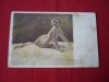 CARTE POSTALA REPRODUCERI DE ARTA, Necirculata, Printata