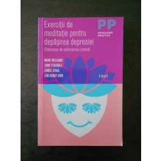 MARK WILLIAMS - EXERCITII DE MEDITATIE PENTRU DEPASIREA DEPRESIEI