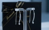 Cumpara ieftin Cercei Lungi din Argint 925 , Model Arcuit cu Linie de Zirconiu E i Pandantiv Cristal, 2cm