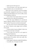 Prim-ministru din intamplare | Tom McLaughlin, Aramis