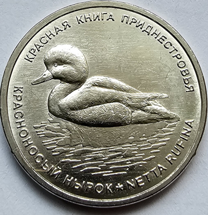 1 rubla 2023 Transnistria, Red-Nosed Dive, unc