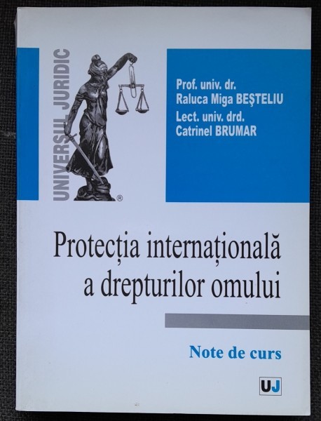 Protectia internationala a drepturilor omului - Raluca Miga Besteliu