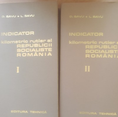 Indicator kilometric al RSR 2 vol. - D. Savu foto