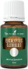 Ulei Esential Eucalipt Globulus (Ulei Esential Eucalyptus Globulus) 15 ML, Young Living