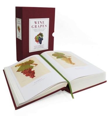 Wine Grapes: A Complete Guide to 1,368 Vine Varieties, Including Their Origins and Flavours foto