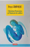 Christina Domestica si Vanatorii de suflete - Petru Cimpoesu