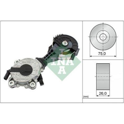 Intinzator curea Bmw; Citroen; Ds; Mini; Opel; Peugeot, , INA foto