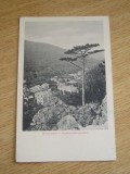 M2 R9 4 - 52 - Carte postala foarte veche - Germania, Necirculata, Fotografie