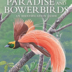 Birds of Paradise and Bowerbirds: An Identification Guide