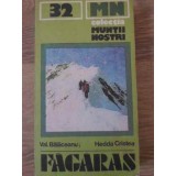 FAGARAS (HARTA LIPSA)-VAL. BALACEANU HEDDA CRISTEA-226643