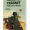 Unchiul meu trasnit. Vol. 3: Marele jaf al trenului