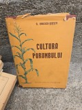 CULTURA PORUMBULUI