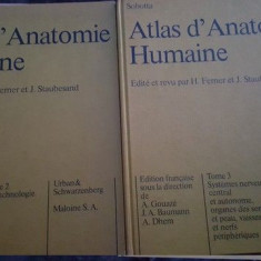 Atlas d`Anatomie Humaine 1,2- A. Gouaze, J. A. Baumann