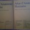 SOBOTTA Atlas d`Anatomie Humaine 2,3 - H. Femer, J. Staubesand