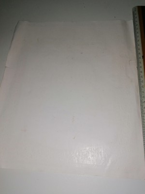 DIPLOMA NESCRISA CANTAREA ROMANIEI 1981 foto