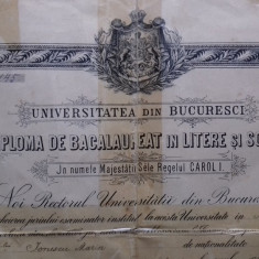 Arges Deagu Universitatea Bucuresti Diploma 1897 Titu Maiorescu