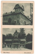 SV * Baia Borsec * CARTE POSTALA MULTIPLA (2 imagini) * anii &#039;20