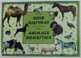 GHID ILUSTRAT PENTRU CEI MICI DESPRE ANIMALE DOMESTICE de M. TUFAN , 2023