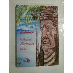 Terapia Sufletelor * Poeme * (cartea are CD) - ILIE MARINESCU