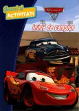 Cumpara ieftin Disney. Mașini 3. Inimă de campion. Jocuri și activități
