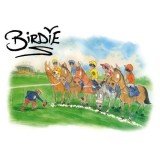 Birdie: The Best of Darren Bird