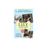Lily to the Rescue Bind-Up Books 4-6: Dog Dog Goose, Lost Little Leopard, and the Misfit Donkey