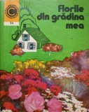 FLORILE DIN GRADINA MEA-ELENA SELARU-94016
