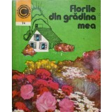 FLORILE DIN GRADINA MEA-ELENA SELARU-94016