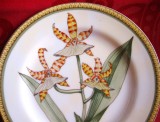 FARFURIE DECORATIVA PORTELAN CORNUCOPIA COLLECTION DECOR BOTANICA ORHIDEE ONCIDIUM SPLENDIDUM 20.5 CM