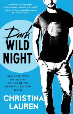 Dark Wild Night foto