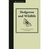 Hedgerow and Wildlife