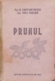 Prunul - N. Constantinescu Popa Porfire, D413, Agro-Silvica, 1956, Agronomie, Romana, Carte