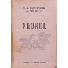Prunul - N. Constantinescu Popa Porfire , D413