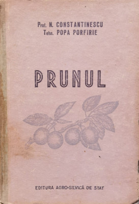 Prunul - N. Constantinescu Popa Porfire ,556573 foto