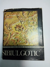 SIBIUL GOTIC - Harmann Fabini foto