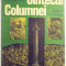 CANTECUL COLUMNEI de AL MITRU , 1981