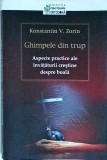 Konstantin V. Zorin - Ghimpele din trup