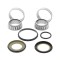 KIT RULMENTI DE JUG FURCA ALL BALLS RACING AB22-1026