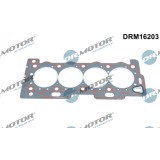 Garnitura, Chiulasa 310700 DRM16203