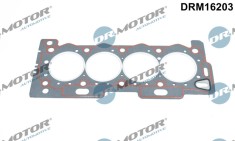 Garnitura, Chiulasa 310700 DRM16203