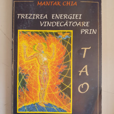 Mantak Chia - Trezirea energiei vindecatoare prin Tao. Secretul taoist energie