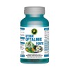 Hyper Oftalmic Forte 60 capsule Hypericum, Hypericum Plant