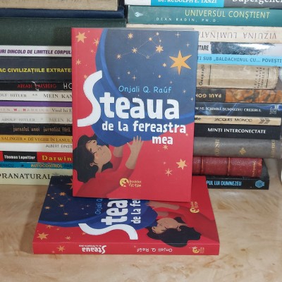 ONJALI Q. RAUF - STEAUA DE LA FEREASTRA MEA , 2024 * foto